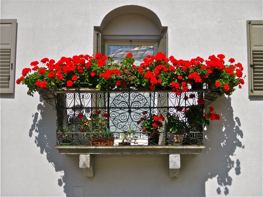 Balcone fiorito